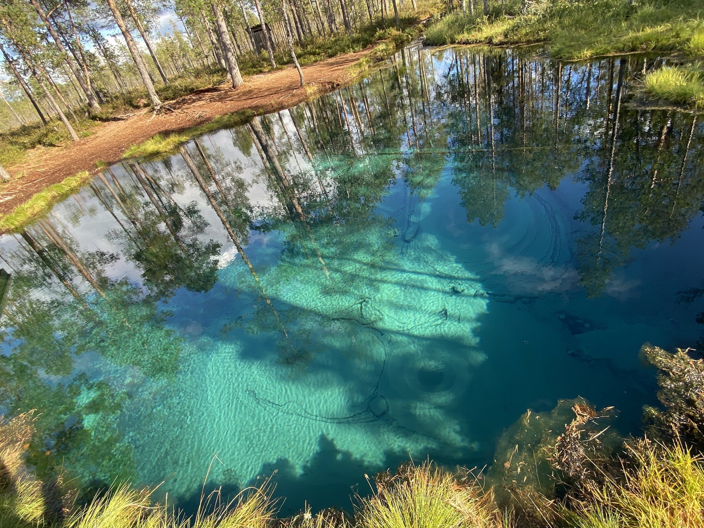 Frog Spring in the Wetlands (Grödkällan / Tsuobbuoaja)